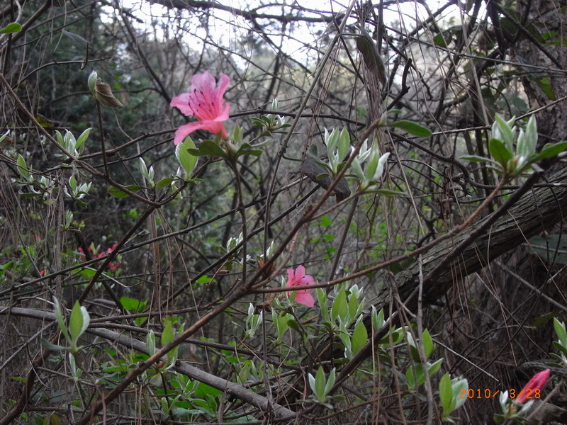 ar0017728.jpg