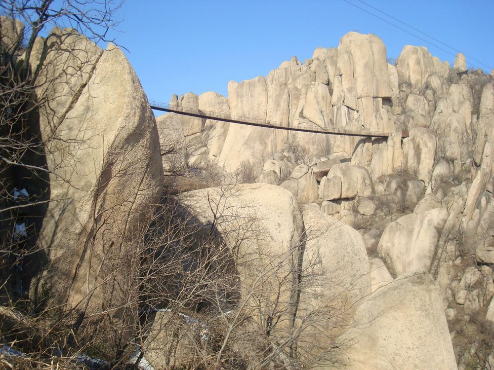 neo_img_dsc08722.jpg