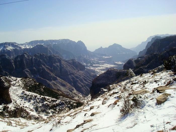 neo_img_dsc08160.jpg