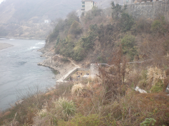 p2180494.jpg