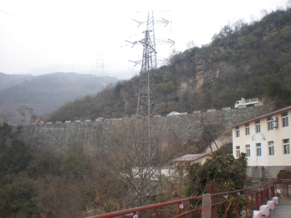 p2180497.jpg