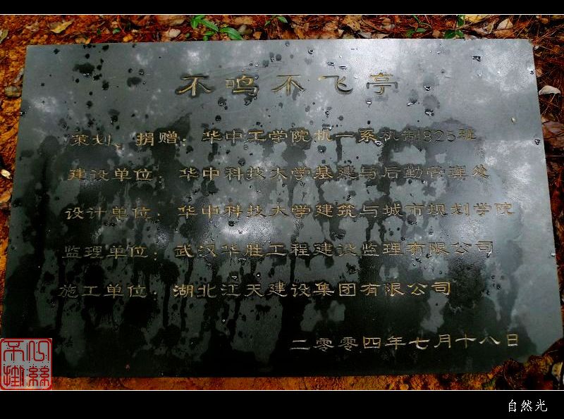 l1050224.jpg