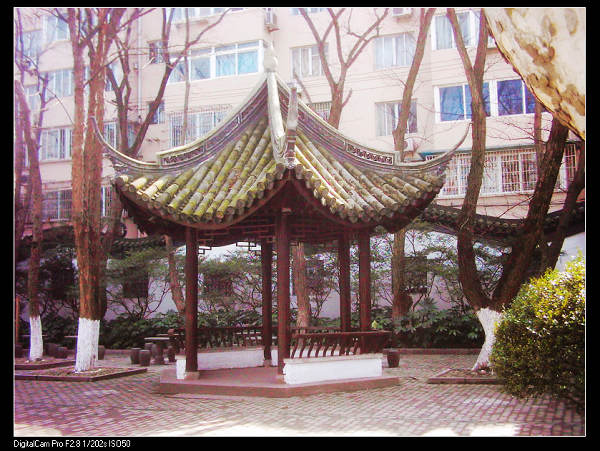 dsci0174.jpg