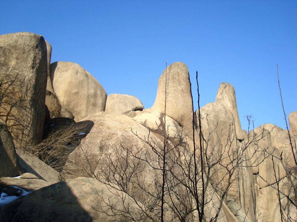 neo_img_dsc08748.jpg