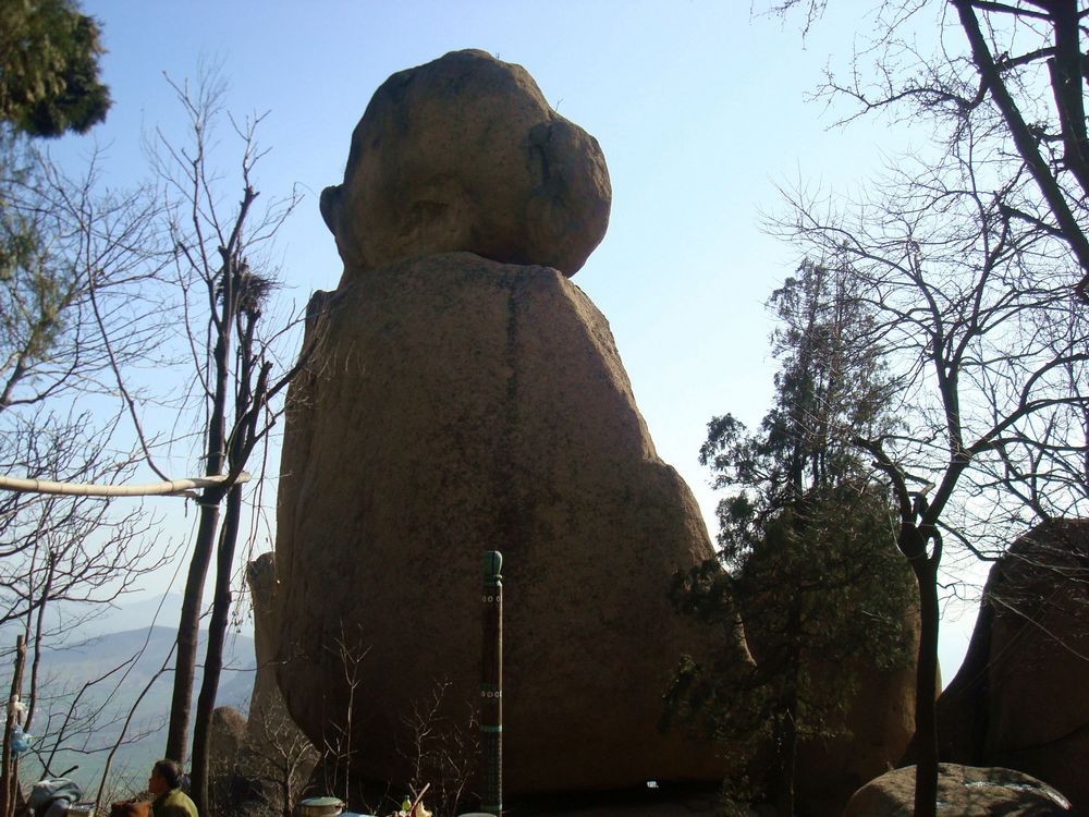 neo_img_dsc08744.jpg