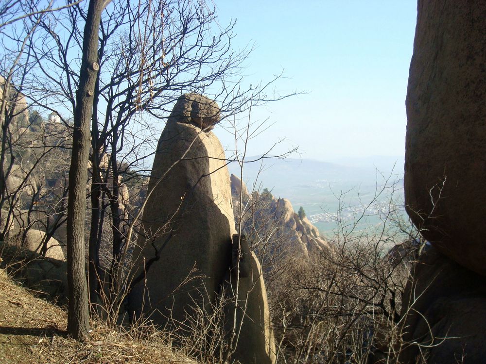 neo_img_dsc08743.jpg