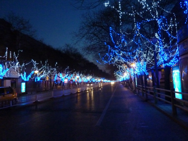 p1010469.jpg