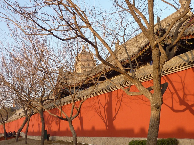 p1010563.jpg