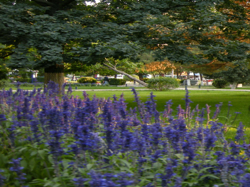 dscn2703.jpg