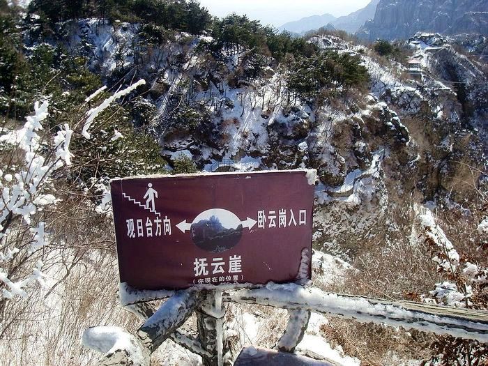 neo_img_neo_img_dsc08089.jpg