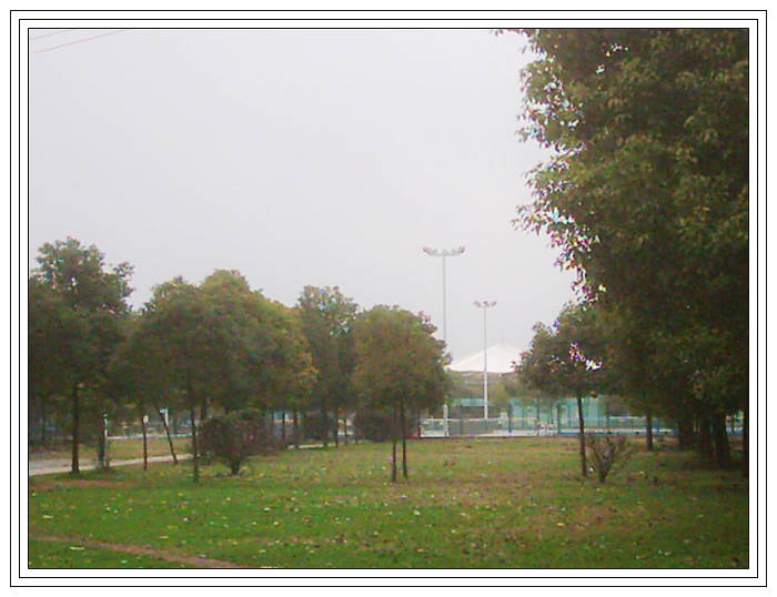 dsci0096.jpg