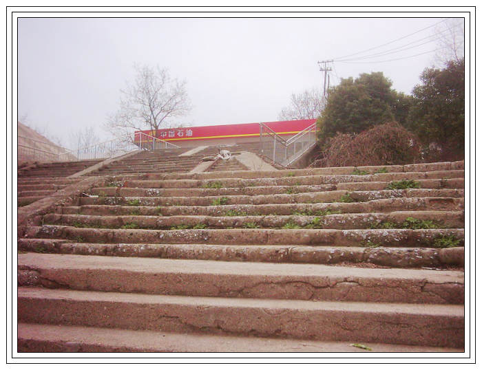 dsci0076.jpg