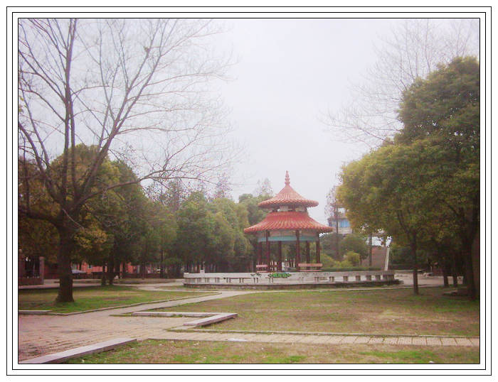 dsci0083.jpg