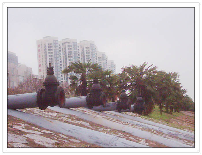 dsci0088.jpg