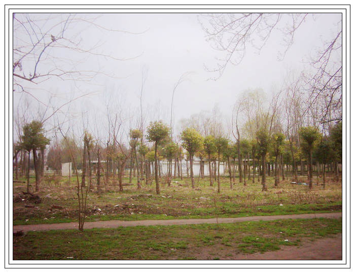dsci0093.jpg