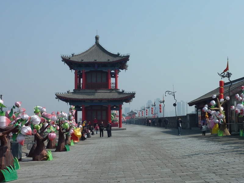 p1010694.jpg