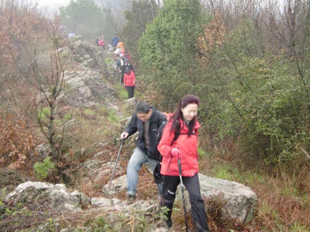 p1280024.jpg