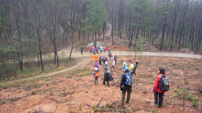 p1010645.jpg