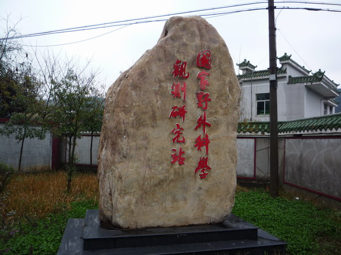 p1010654.jpg