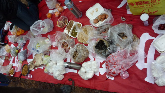 p1010663.jpg