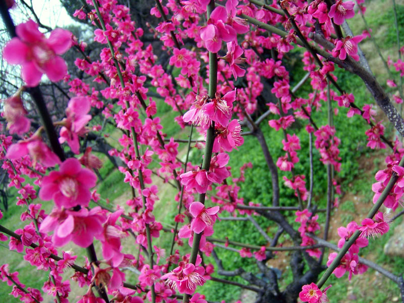 100_6160.jpg