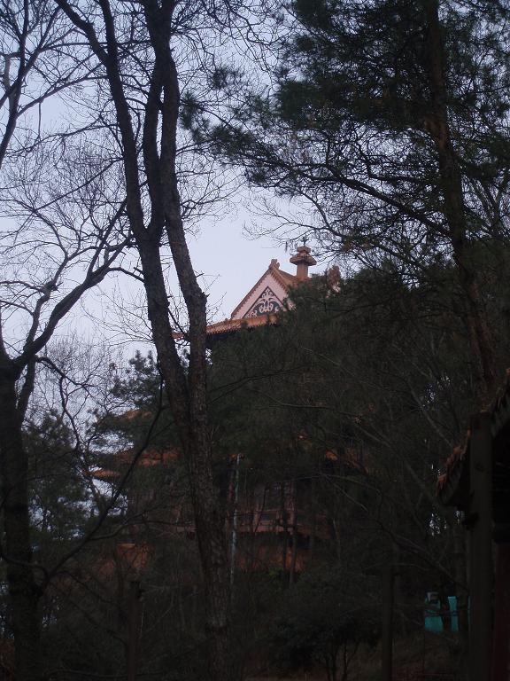 p3070967.jpg