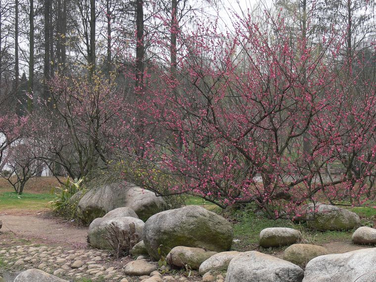 p1090217.jpg