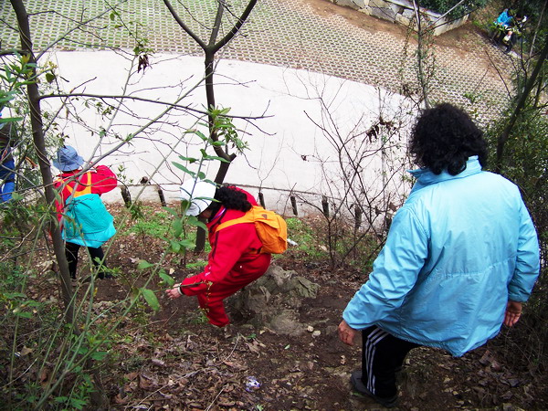 100_3381.jpg