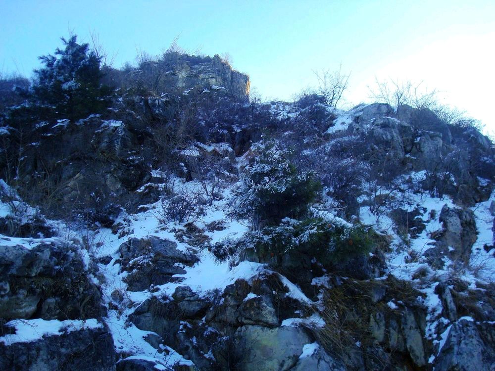 neo_img_dsc07525.jpg