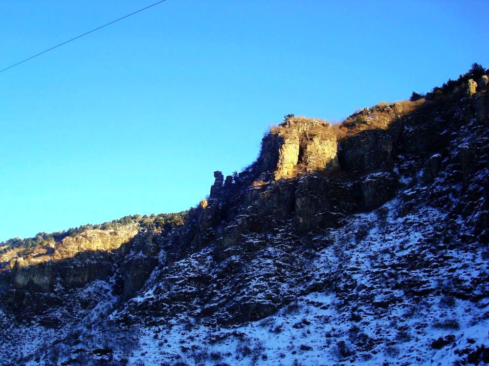 neo_img_dsc07549.jpg