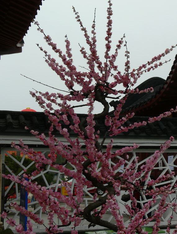p1090221.jpg