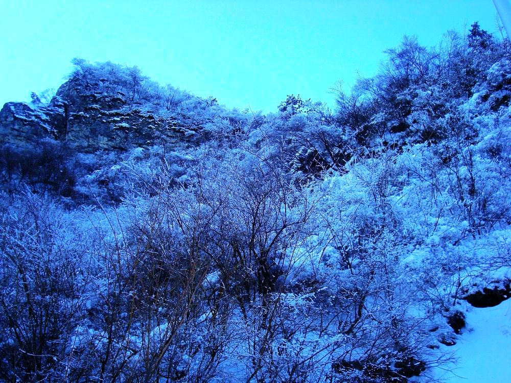neo_img_dsc07570.jpg
