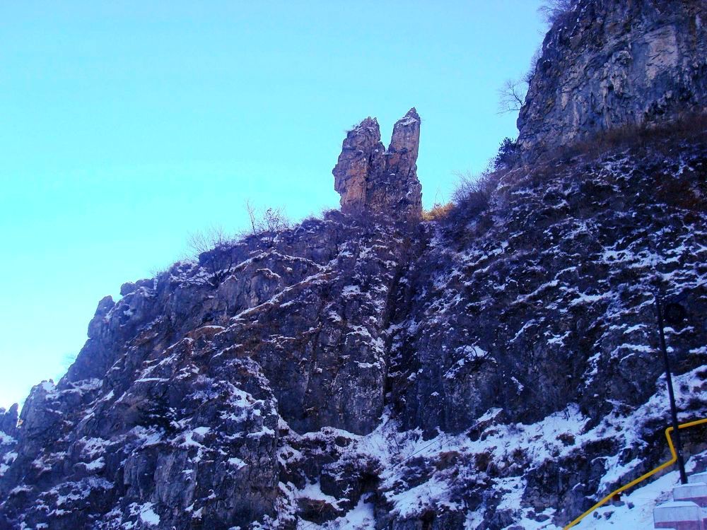 neo_img_dsc07582.jpg