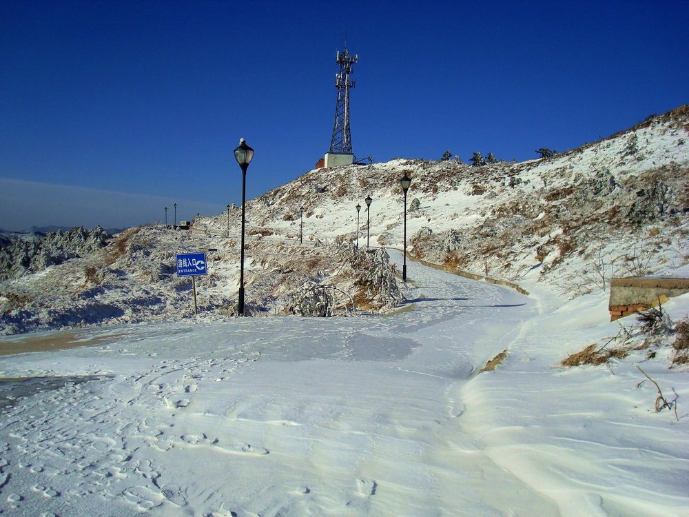 neo_img_dsc07642.jpg