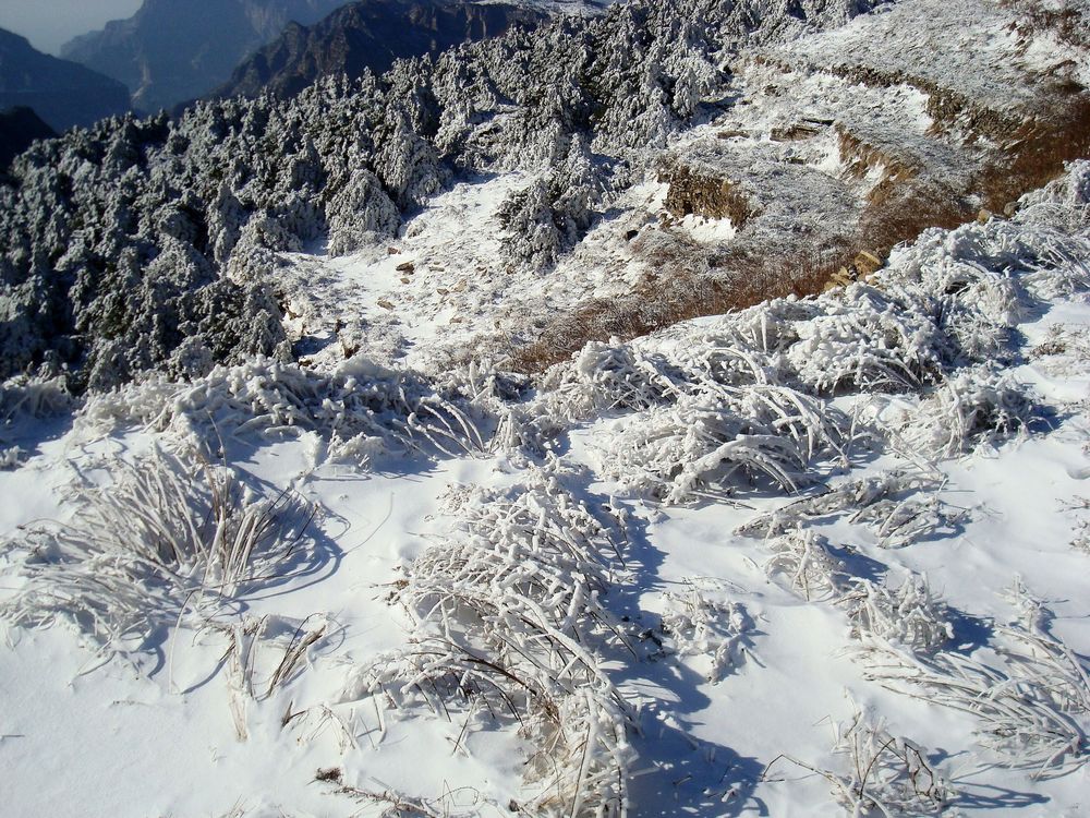 neo_img_dsc07648.jpg