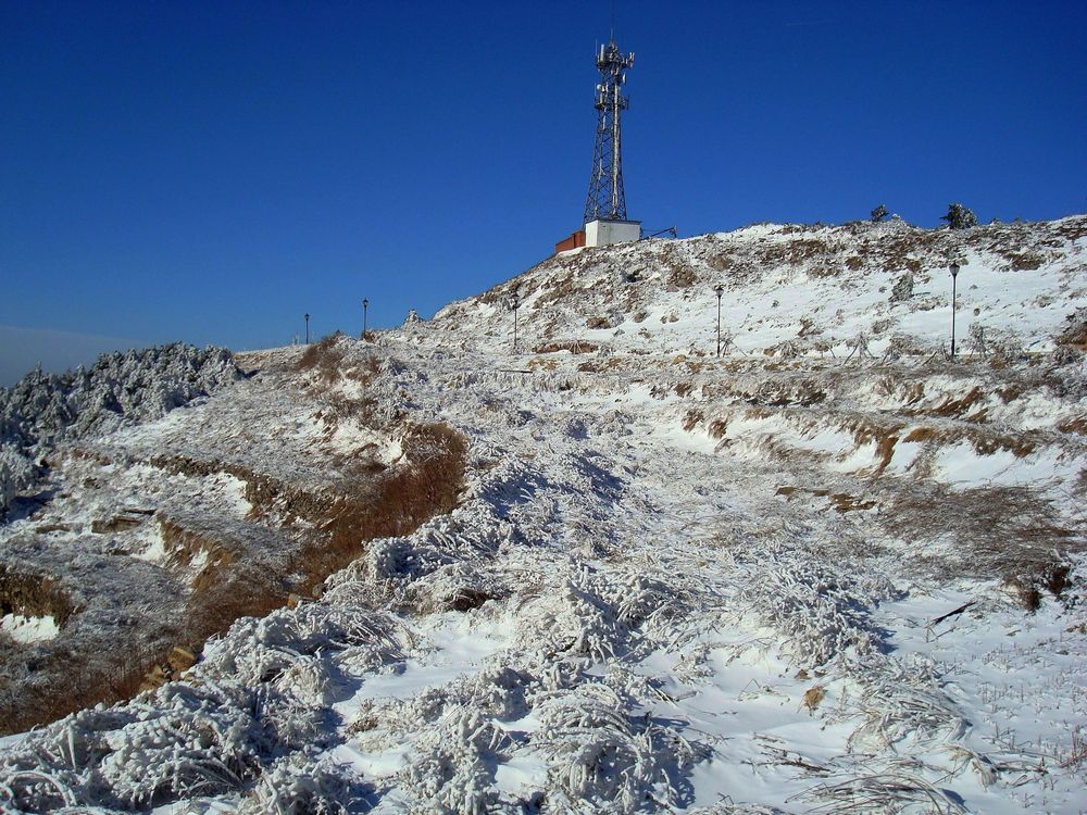 neo_img_dsc07649.jpg