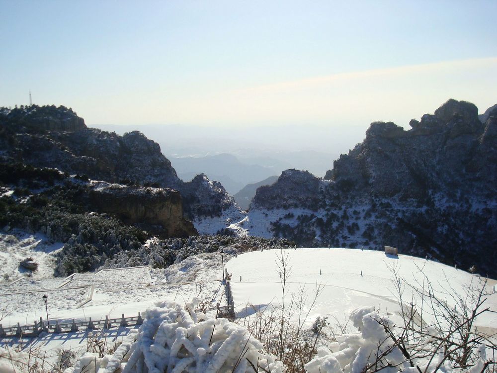 neo_img_dsc07685.jpg