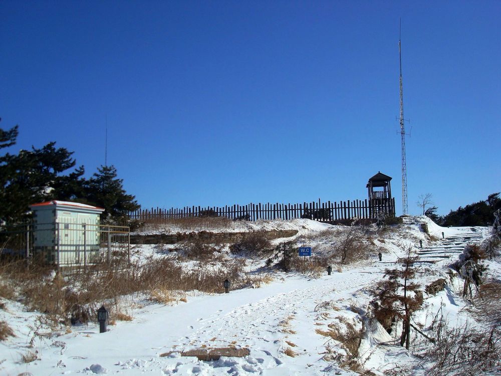 neo_img_dsc07753.jpg
