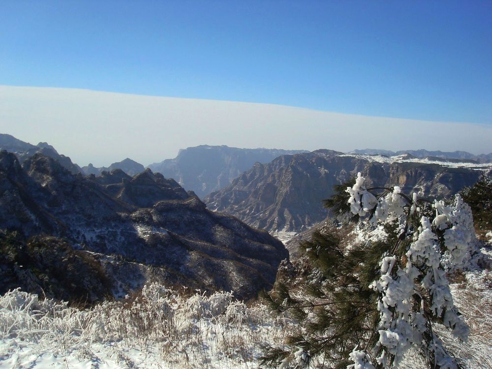 neo_img_dsc07756.jpg