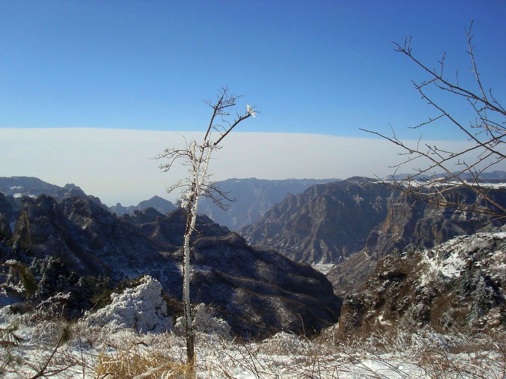 neo_img_dsc07759.jpg