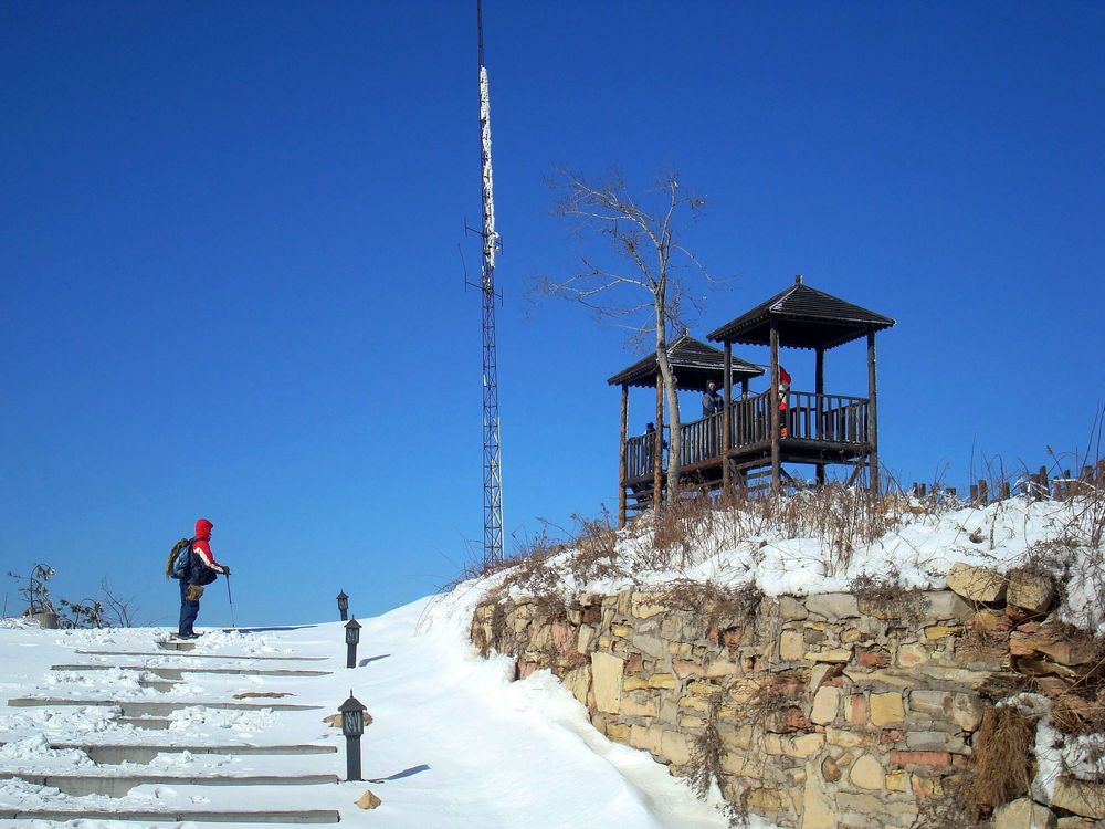 neo_img_dsc07770.jpg