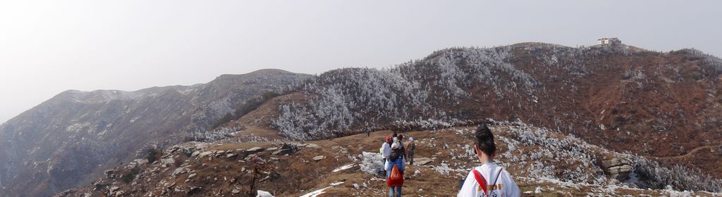 dsc00409.jpg