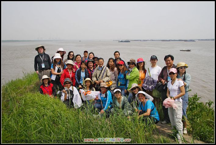 2008426202845.jpg