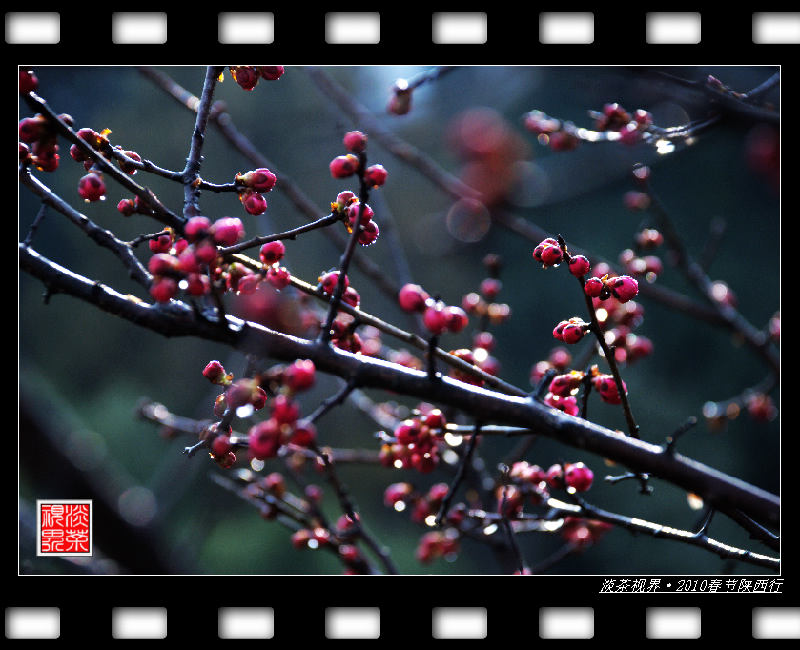dsc_0207_Ӱ_1.jpg