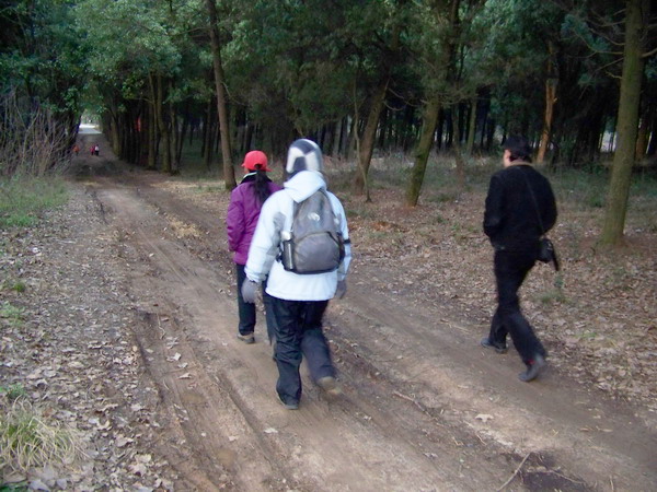 100_3575.jpg