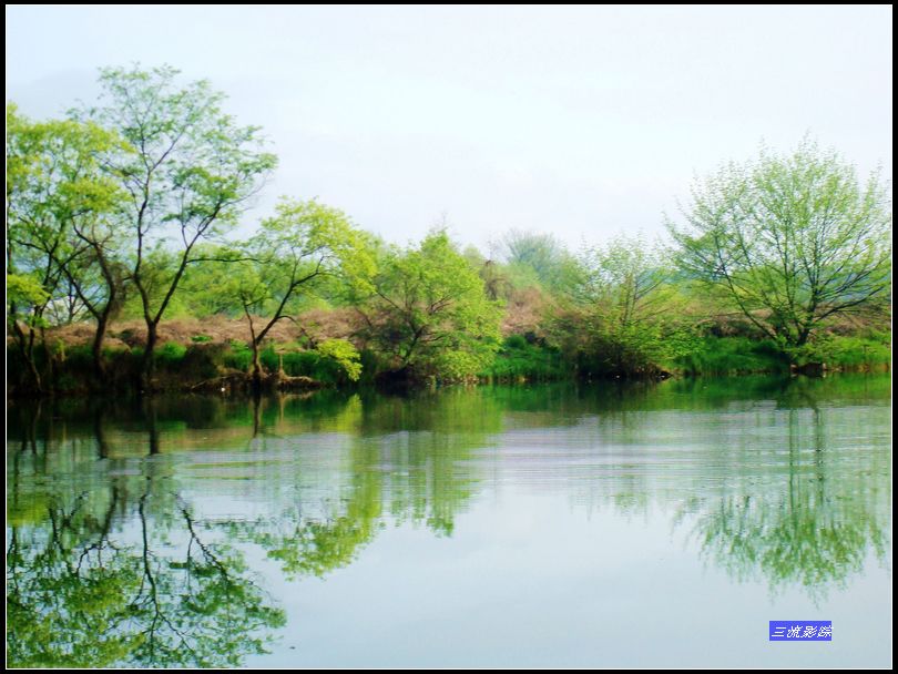 neo_img_dsc02099.jpg