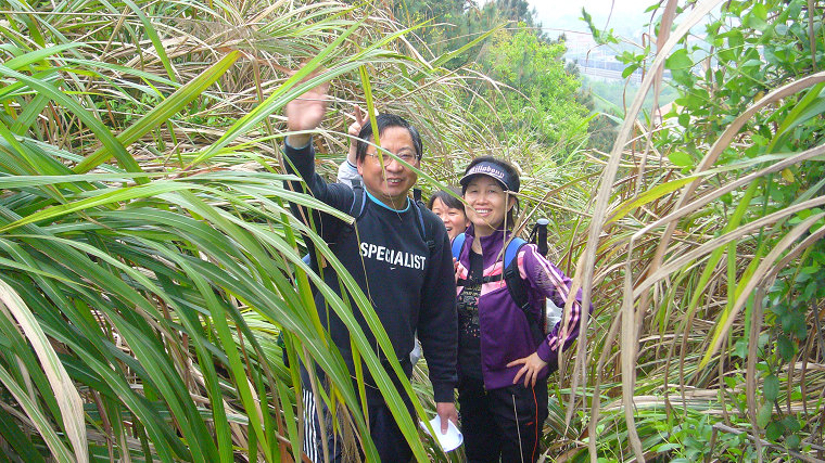 p1100043.jpg