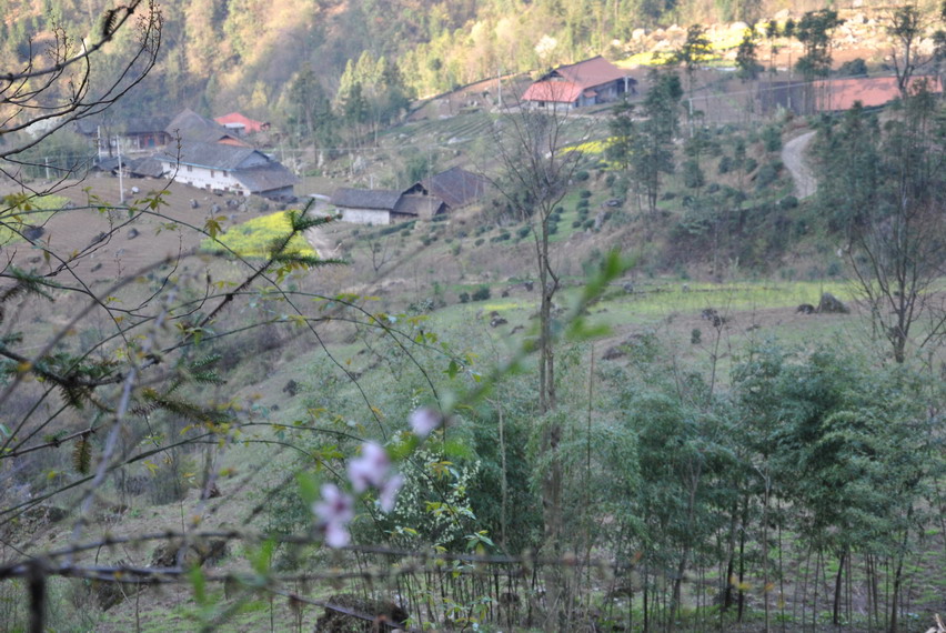 p 118.jpg