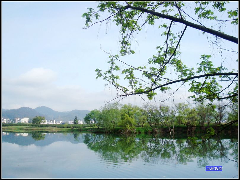 neo_img_dsc02109.jpg