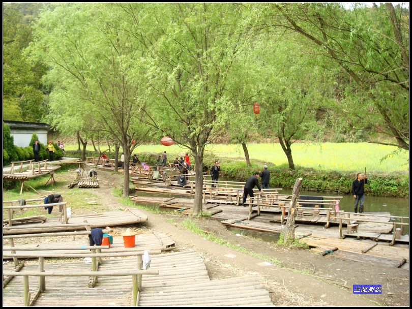 neo_img_dsc02196.jpg